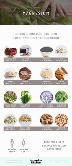 Top Sources of Magnesium Infographic Sources Of Magnesium, Stomach Fat Burning Foods, Baking Soda Beauty Uses, Best Fat Burning Foods, Sport Nutrition, Good Foods To Eat, Raw Cacao, Nutrition Education, Food Source