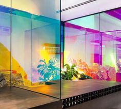 an office building with colorful glass walls and plants