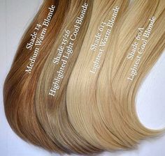 Tmavý Blond, Blonde Hair Extensions, Caramel Blonde, Warm Blonde, Hair Color Shades, Beige Blonde, Cool Blonde, Blonde Hair Shades