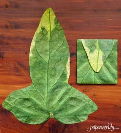 a piece of paper that has been cut out to look like a leaf