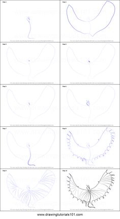 the steps to draw an owl's head