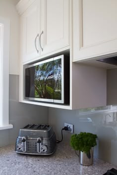 the microwave is built into the wall above the counter top and has a potted plant on it