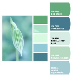 the color scheme is green, blue and white with an image of a flower on it