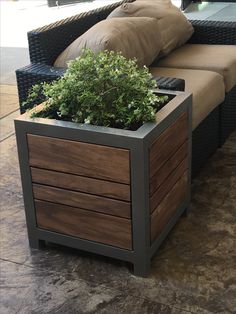 a couch with a planter on top of it