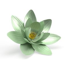 a large green flower with leaves on it