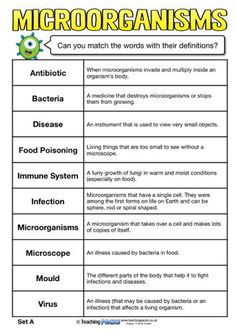 the differences between microorgans and other animals