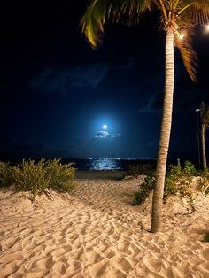 a palm tree on the beach at night with full moon and clouds in the sky