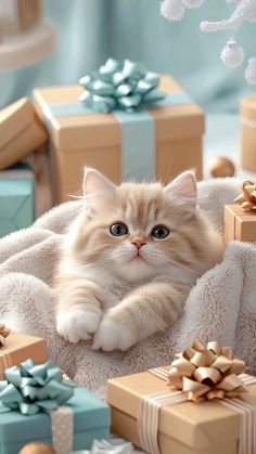 a cat laying on top of a pile of presents