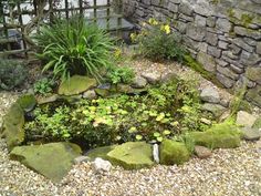 a garden with rocks and plants in it