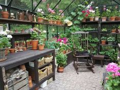 a room filled with lots of potted plants next to a wooden table and chair