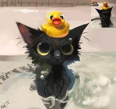 there is a black cat with a rubber ducky on its head in the water