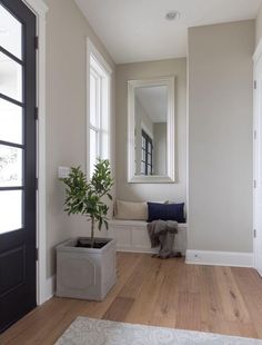 an empty hallway with a planter and mirror