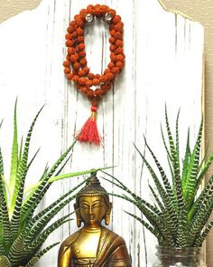 This simple hand-crafted mala featuring a deep red tassel, is made of 108 knotted Rudraksha seed beads and is perfect for your everyday ritual and mediation. Legend has it that the first Rudraksha seeds were created from tears of Lord Shiva as they fell on the earth and formed into a tree. Rudraksha seeds have wonderful spiritual and medicinal properties and, you can feel their power as you count through the beads one by one to recite your chosen mantra or intention. The number 108 holds spiritu Tibetan Yak, Rare Beads, Powerful Prayers, Mala Meditation, 108 Bead, Bone Beads, Beads Handmade, Lord Shiva, Tibet