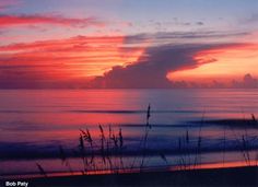 the sun is setting over the ocean with tall grass in foreground and clouds in the background