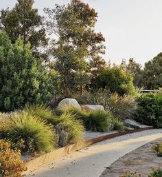 a garden with lots of plants and rocks on the side of the road in front of some trees