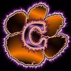 an orange and purple flower with the letter c in it's center on a black background