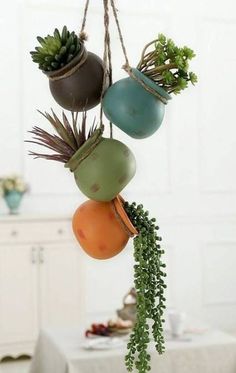 hanging planters filled with succulents and plants on a dining room table