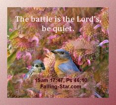 a blue bird sitting on top of a pink flower filled field with the words, the battle is the lord's be quiet