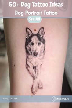 a dog tattoo is shown on the side of a woman's leg, with text that reads 50 + dog tattoo ideas do portrait tattoo see all