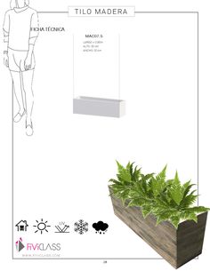 a planter with plants in it is shown