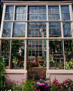 an old window is filled with potted plants and other flowers in the garden area