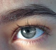 the eye of a person with brown eyes