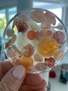 a hand holding a glass ball filled with sea shells