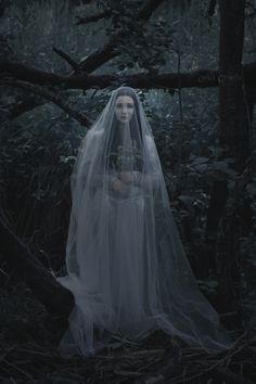 a woman wearing a veil in the woods with trees and branches around her, she is dressed in white