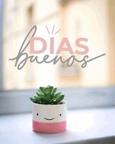 a small potted plant sitting on top of a window sill with the words dias brenas above it