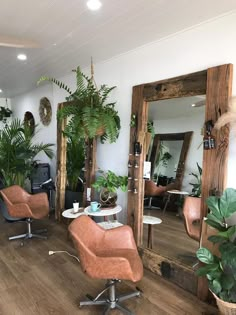 a salon with chairs, mirrors and potted plants