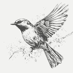 a black and white drawing of a bird with its wings spread out, sitting on a branch