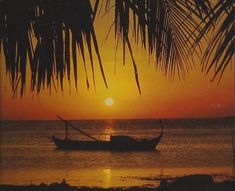 a boat sitting on top of a beach under a palm leaf covered sky at sunset