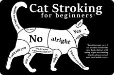 a black and white poster with the words cat stoking for beginners