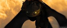 Animal Spaceship, Dragon Anatomy, Httyd 2, Light Fury, Dragon Trainer