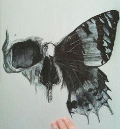 a black and white drawing of a butterfly with its wings spread out, resting on a human skull