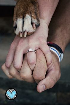 two people holding hands with their dog's paw on top of each others hand