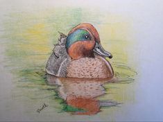 a pencil drawing of a duck and its reflection in the water with pastel colors