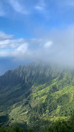 the mountains are covered in thick clouds and green vegetation, with trees on either side