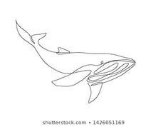 a single line drawing of a humpback whale