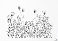 an ink drawing of wildflowers in black and white