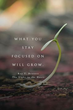 a plant sprouting from the ground with a quote about what you stay focused on will grow