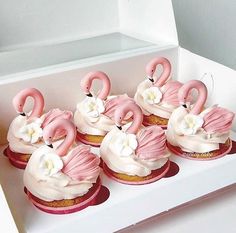 cupcakes with pink frosting and flamingos on top in a white box