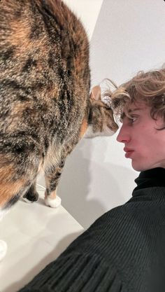 a cat standing on top of a counter next to a person in a black sweater