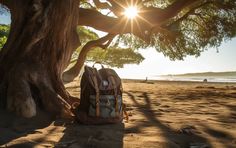 a backpack is sitting under a tree on the beach with the sun shining behind it