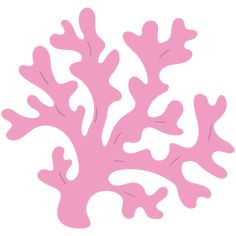 a pink coral on a white background