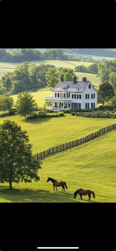 two horses grazing in front of a large white house on a green field with trees