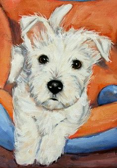 a painting of a small white dog sitting on an orange chair with its paw in it's mouth