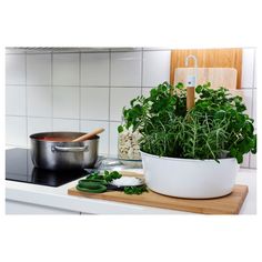 a potted plant sitting on top of a wooden cutting board next to a stove