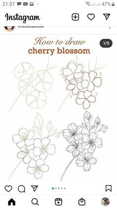 an instagram page with flowers on it and the text how to draw cherry blossom