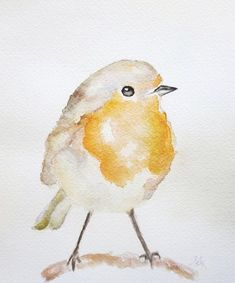 a watercolor painting of a bird sitting on the ground